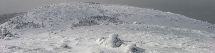 AMC Maine Chapter Rotating Image