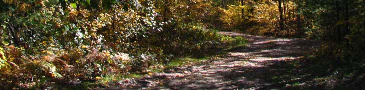 AMC Maine Chapter Rotating Image