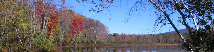 AMC Maine Chapter Rotating Image