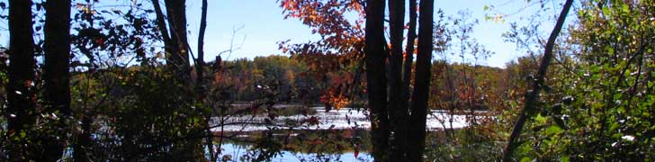 AMC Maine Chapter Rotating Image