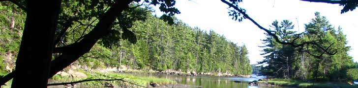 AMC Maine Chapter Rotating Image