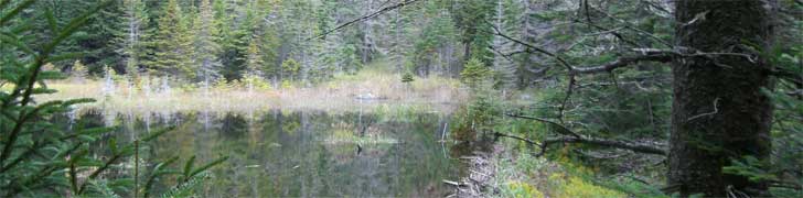 AMC Maine Chapter Rotating Image