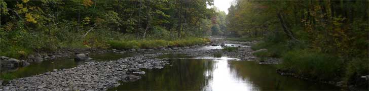 AMC Maine Chapter Rotating Image