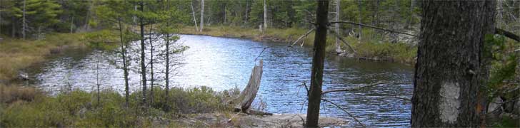 AMC Maine Chapter Rotating Image