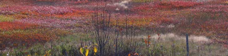 AMC Maine Chapter Rotating Image