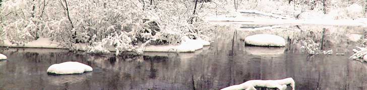 AMC Maine Chapter Rotating Image